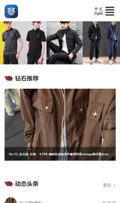 3.手机中文页面.png