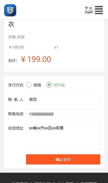 4.手机中文支付页.png